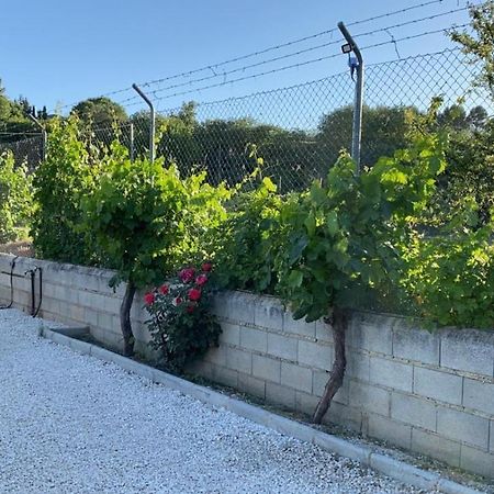 Casa De Campo Patricia Priego de Córdoba Екстериор снимка